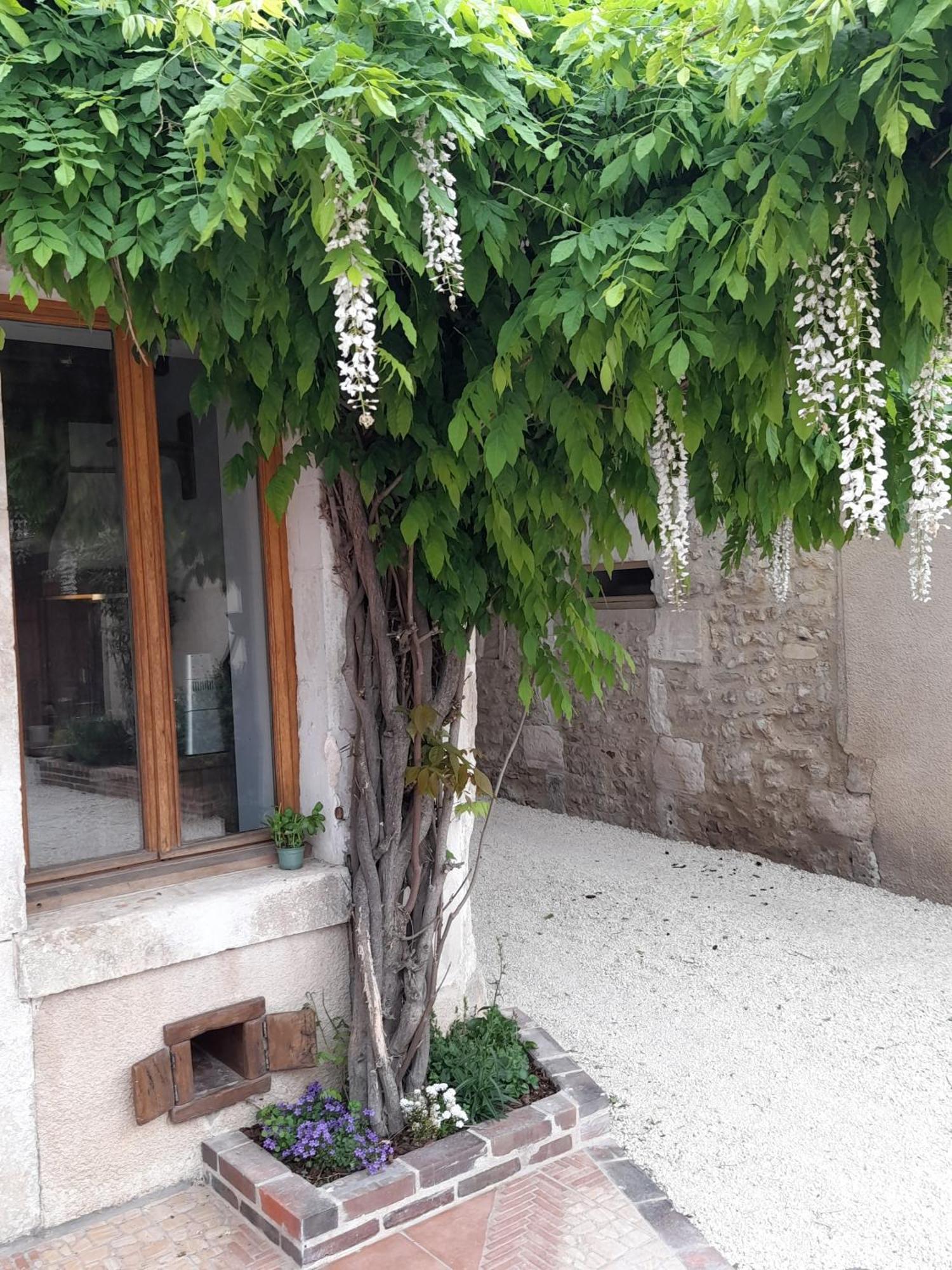Aux Sources De Ouanne Bed & Breakfast Exterior foto